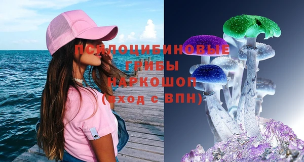 spice Алзамай