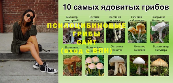 spice Алзамай