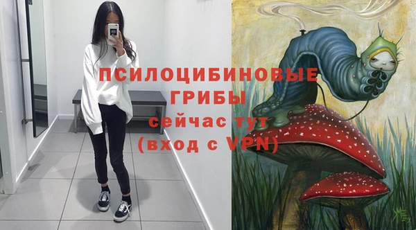 spice Алзамай
