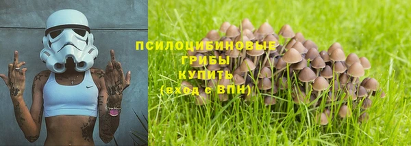 spice Алзамай