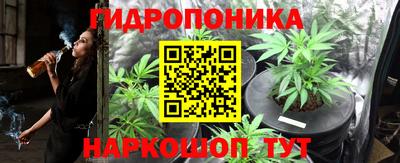 гашик Ярцево