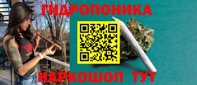 гашик Ярцево