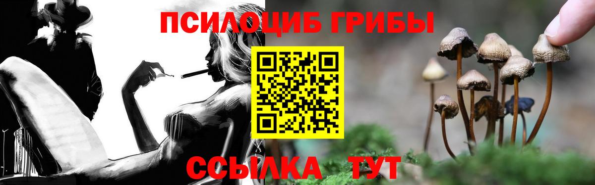 Галлюциногенные грибы Psilocybine cubensis  Псилоцибиновые грибы Psilocybe  Вход с VPN  Курск 